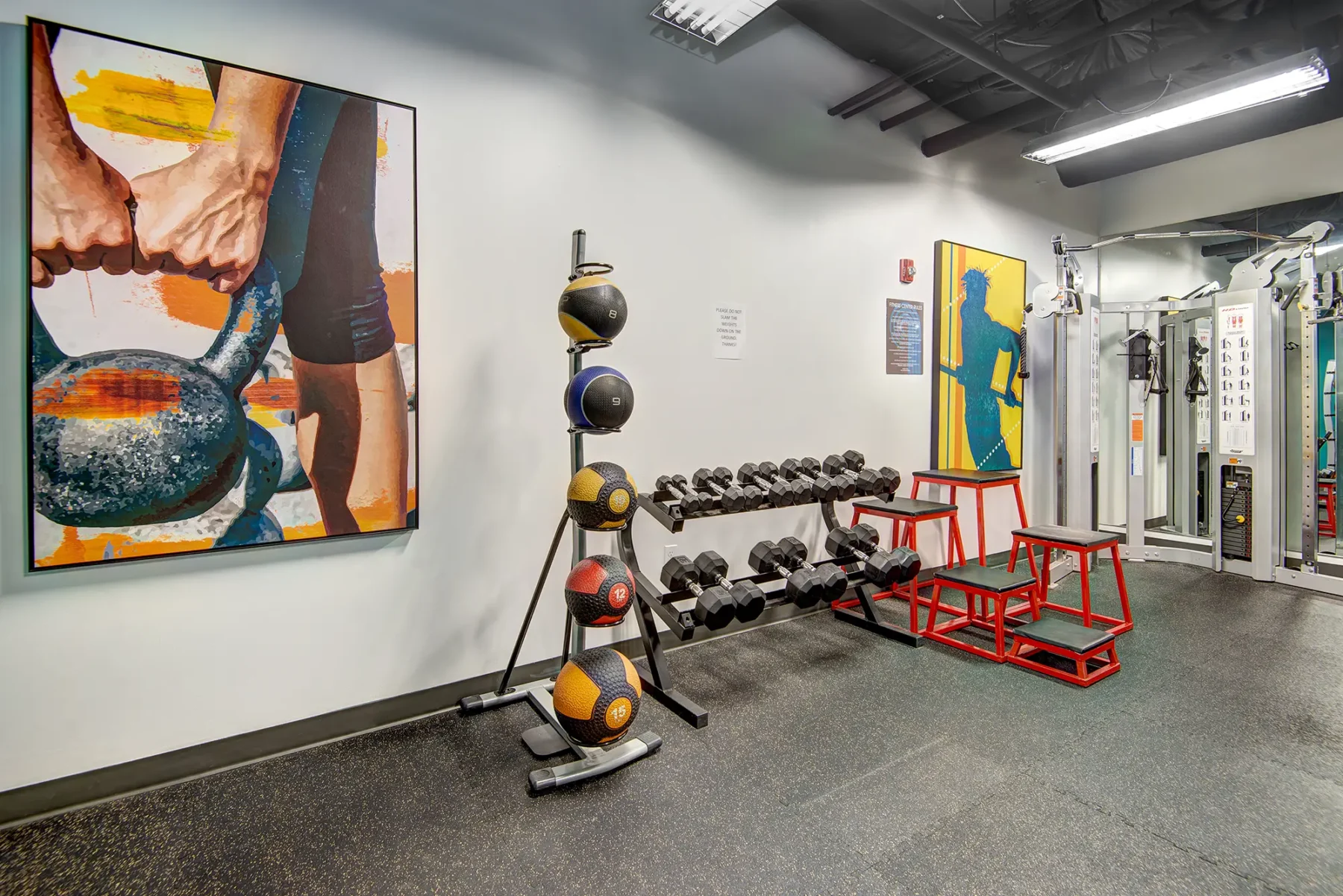 Fitness center with free weights at VUE25 apartments in Tacoma, Washington